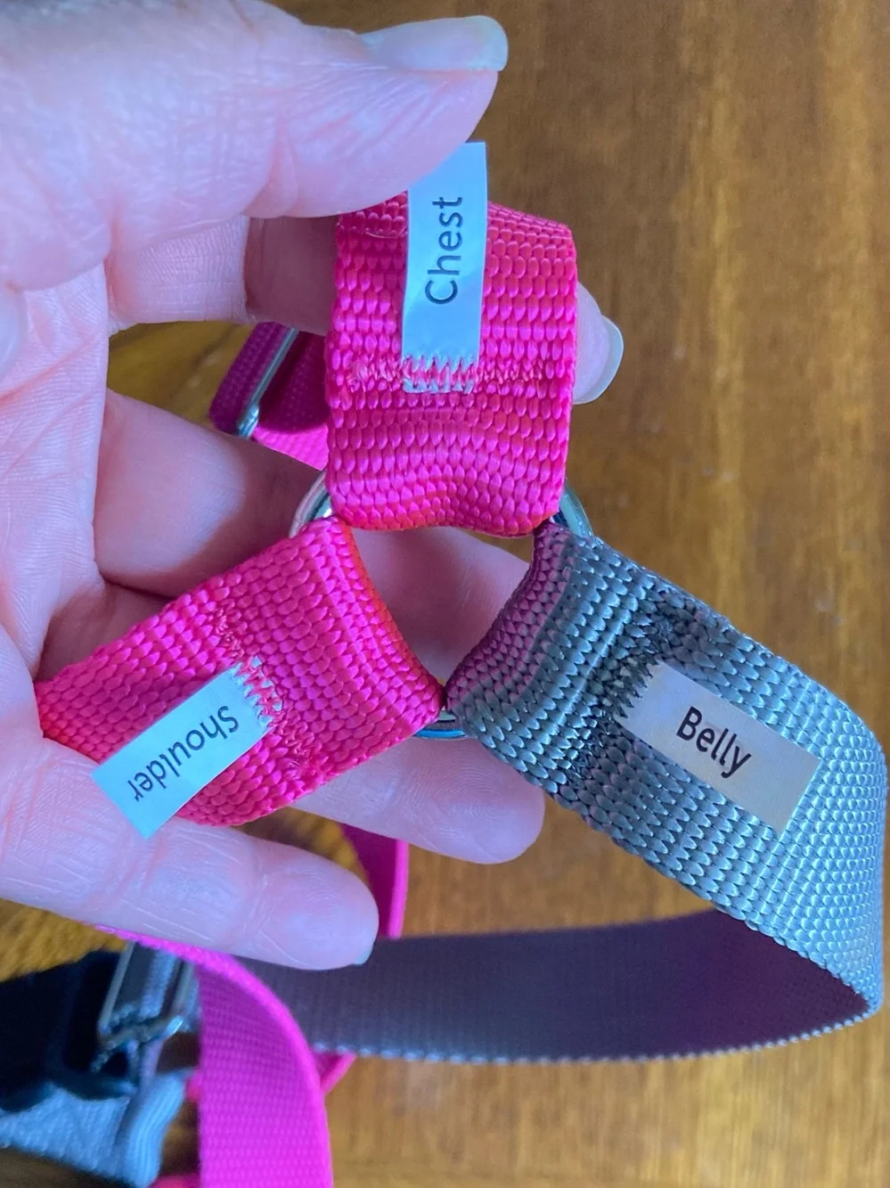 Pet Safe Easy Walk Bright Pink & Gray Harness M/L NWT